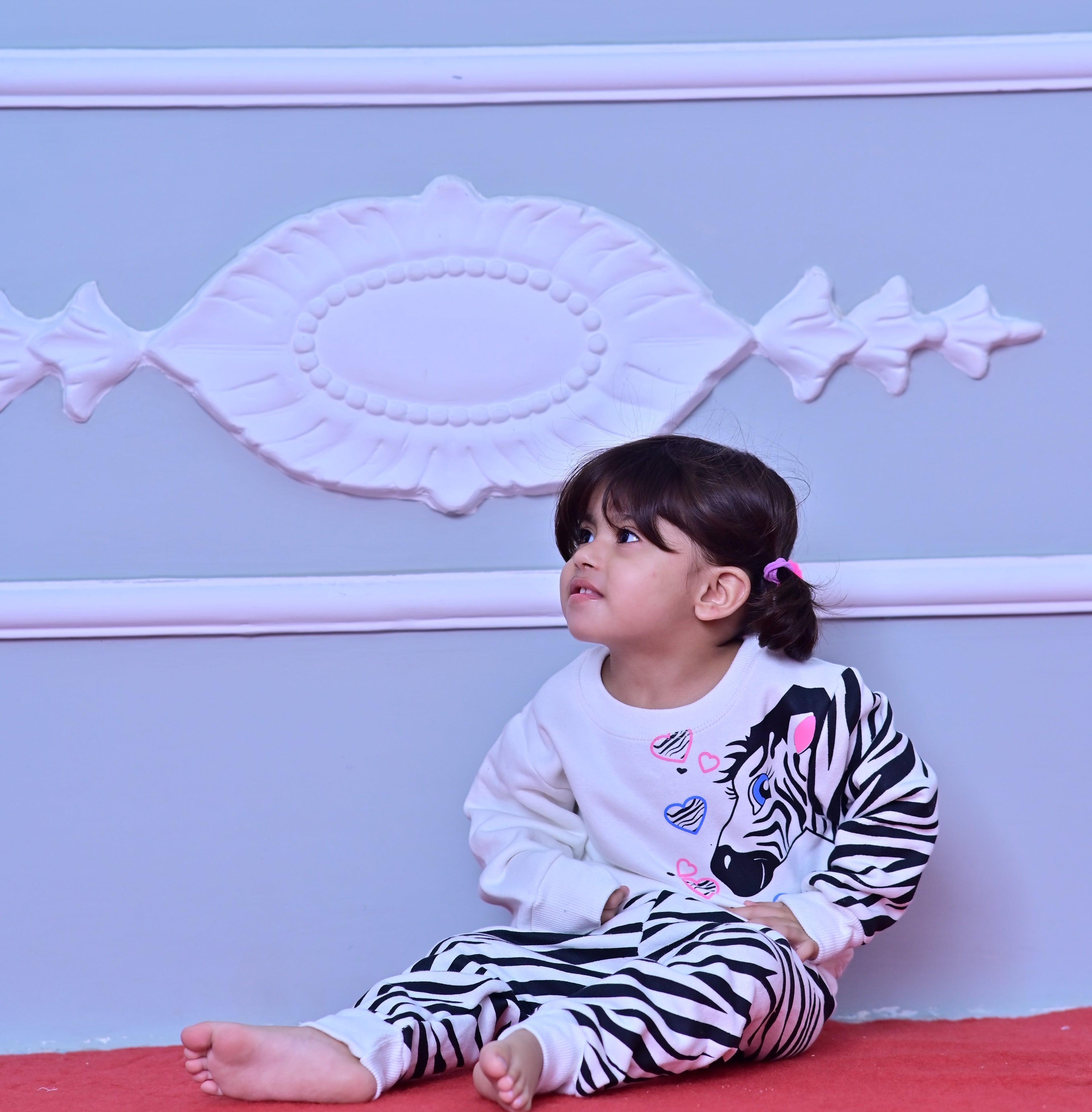 Zibra Fleece Sweatshirt & Trouser